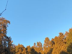 -宫事颐庭·老佛爷贵寿下午茶(颐和园店)