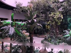 -陕西自然博物馆