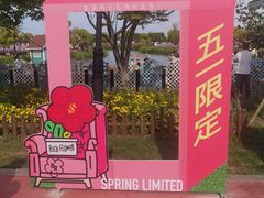 -荷兰花海