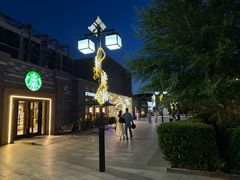 -龙湖星悦荟(颐和店)