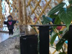 -泽成冰煮羊火锅(中正天街店)