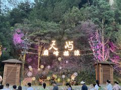 -千岛湖天屿景区