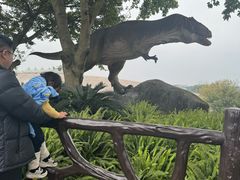 -自贡恐龙博物馆