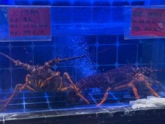 -小满海鲜·别院(天津旗舰店)