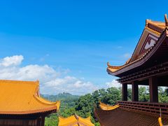 -深圳仙湖植物园