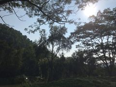 -南沙蒲洲花园