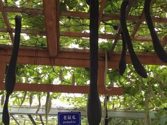 -长春农博园