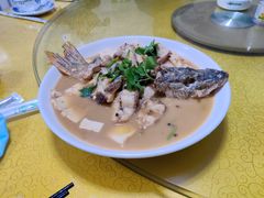 家常狗鱼-煲来饱去冷水鱼