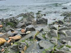 -银沙滩浴场