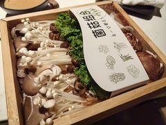 菌菇拼盘-鼎膳常火锅(华阳店)