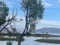 -大理洱海