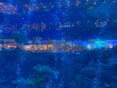 -成都浩海立方海洋公园