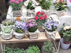 -循礼门鲜花花市(武汉循礼门店)