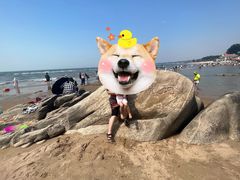 -老虎石海上公园