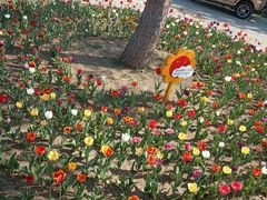 -长春公园(普阳街道)