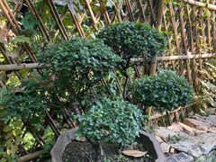 -东山雕花楼