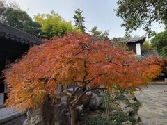-秋霞圃