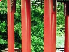 -北京上方山国家森林公园