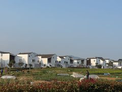 -东梓关景区村庄