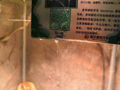 -锦艺城海洋馆