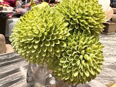 -将太无二·蓝鳍放题·北美寿司(领展购物广场中关村店)