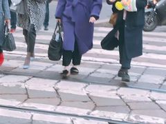-蒙特拿破仑大街