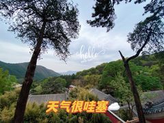 -潭柘寺景区