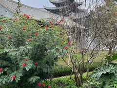 -朱家花园