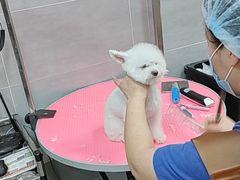 -宠福鑫康馨动物医院·骨科·眼科