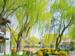 -济南国际园博园