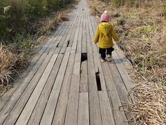 -白鹭湾湿地公园