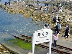 -养马岛旅游度假区