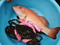 -凤城礼记鱼翅海鲜酒家(新马路总店)