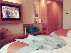 -上海浦东康桥绿地假日酒店