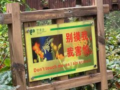 -野象谷景区