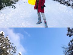-武陵山森林公园