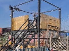 -趣玩宠物乐园寄养训犬训狗游泳池