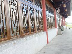 -大湾区中央湿地公园
