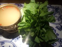 生烫鸡毛菜-卢大鲜鱼头捞饭(美利广场店)