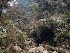 -青城山