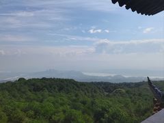 -铁山坪森林公园