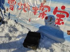 -绿野森林乐园冰雪季