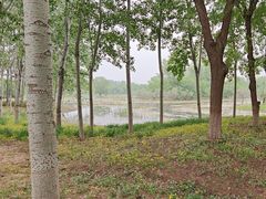 -东郊湿地公园
