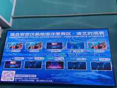 -海合安武汉极地海洋公园