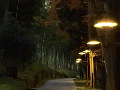 -东明山森林公园