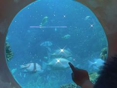 -海合安青岛极地海洋公园
