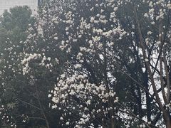 -杭州宋城