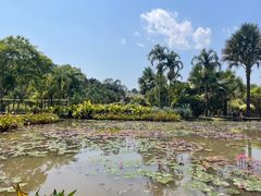 -中国科学院西双版纳热带植物园
