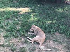 -西安秦岭野生动物园