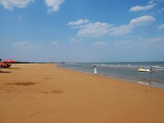 -日照海滨国家森林公园